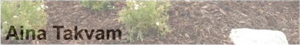 Aina Takvam