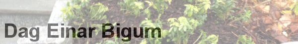 Dag Einar Bigum