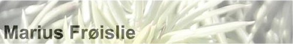 Marius Frøislie