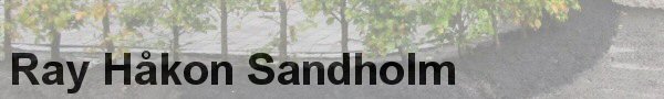 Ray Håkon Sandholm