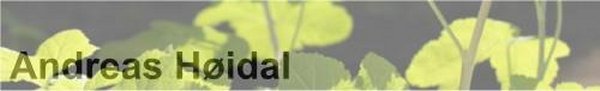 Andreas Høidal