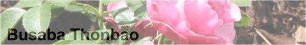Busaba Thonbao