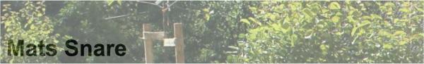 Mats Snare
