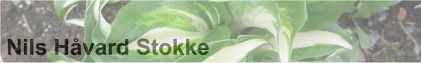 Nils Håvard Stokke