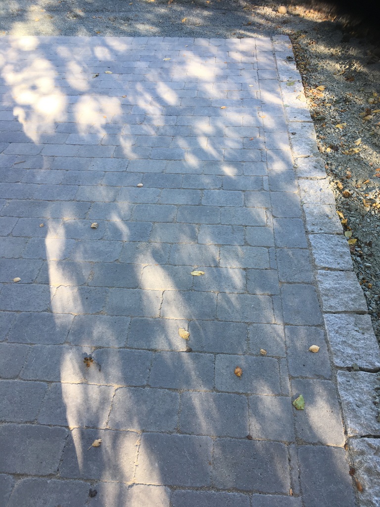 IMG 0920