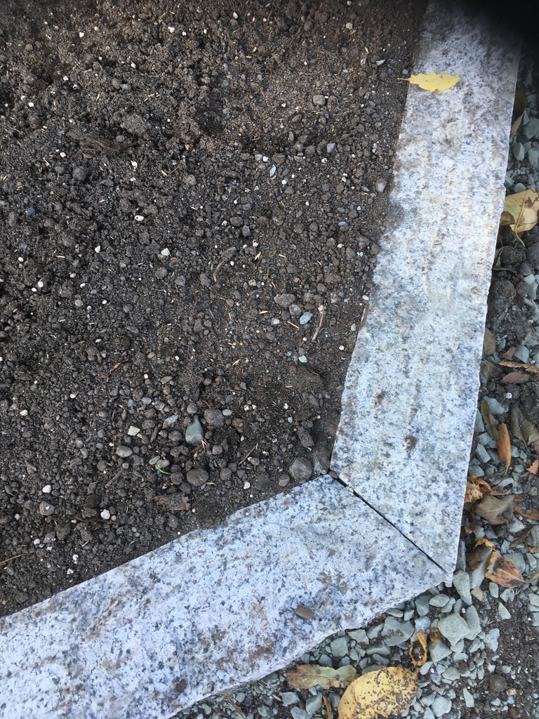 IMG 0920