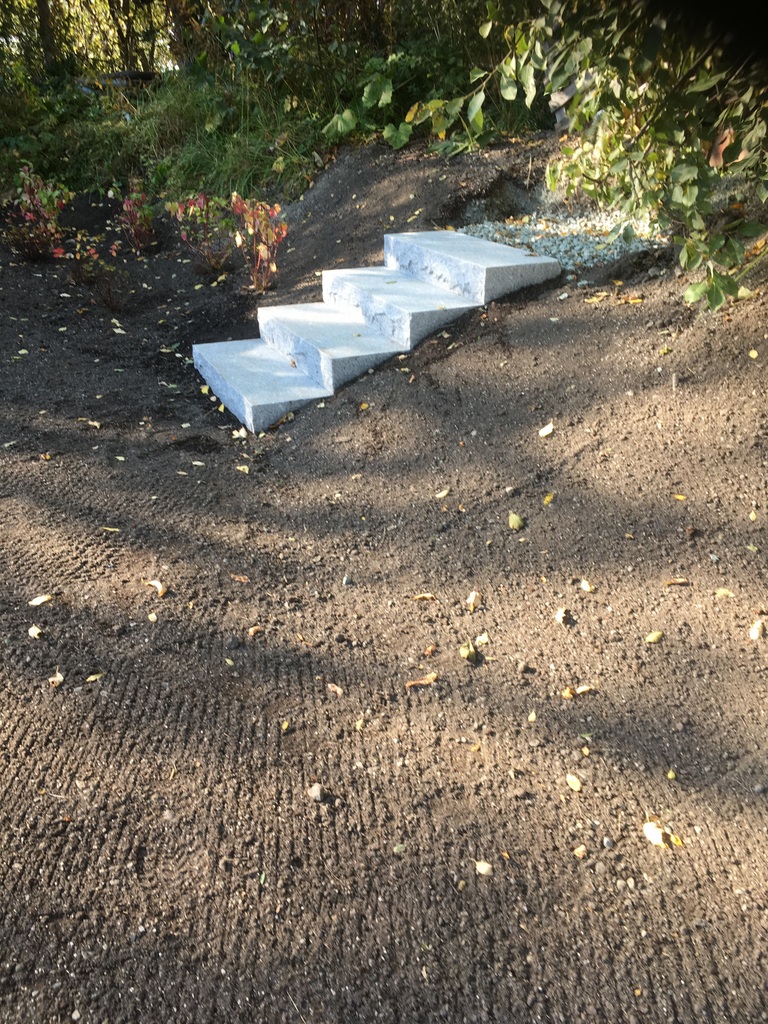 IMG 0920