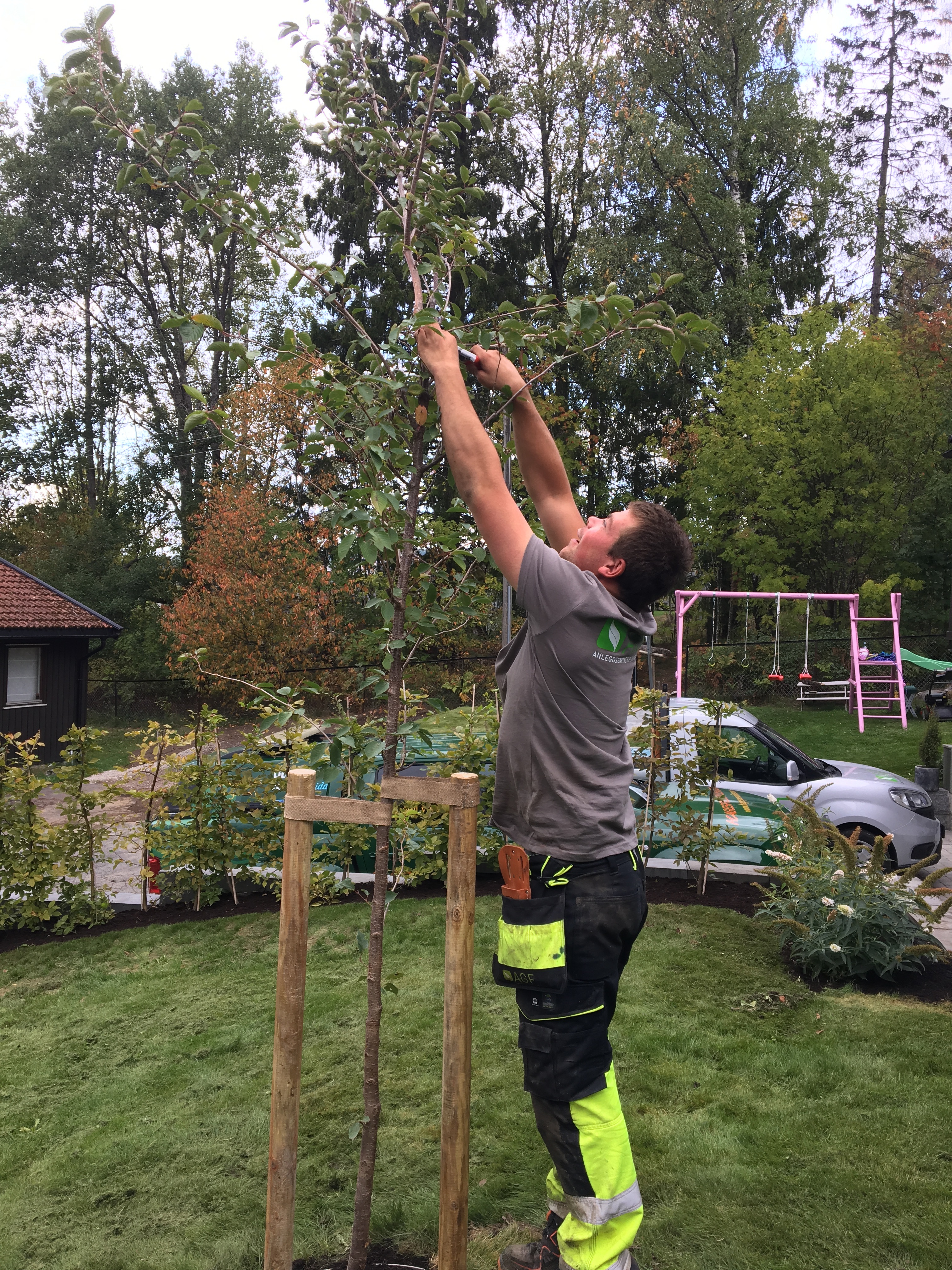 20180907 130925623 iOS