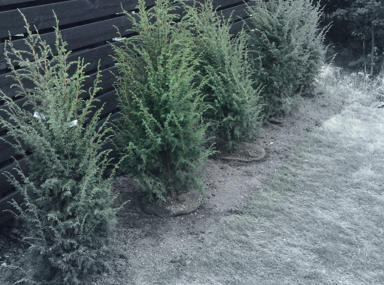 20180907 130925623 iOS