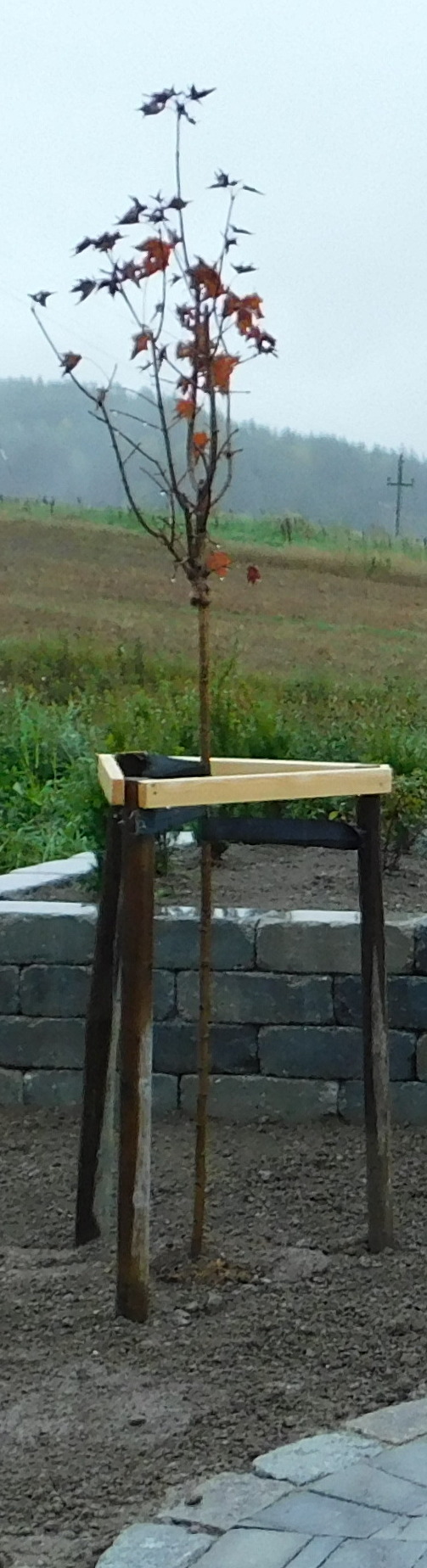 DSCN0324