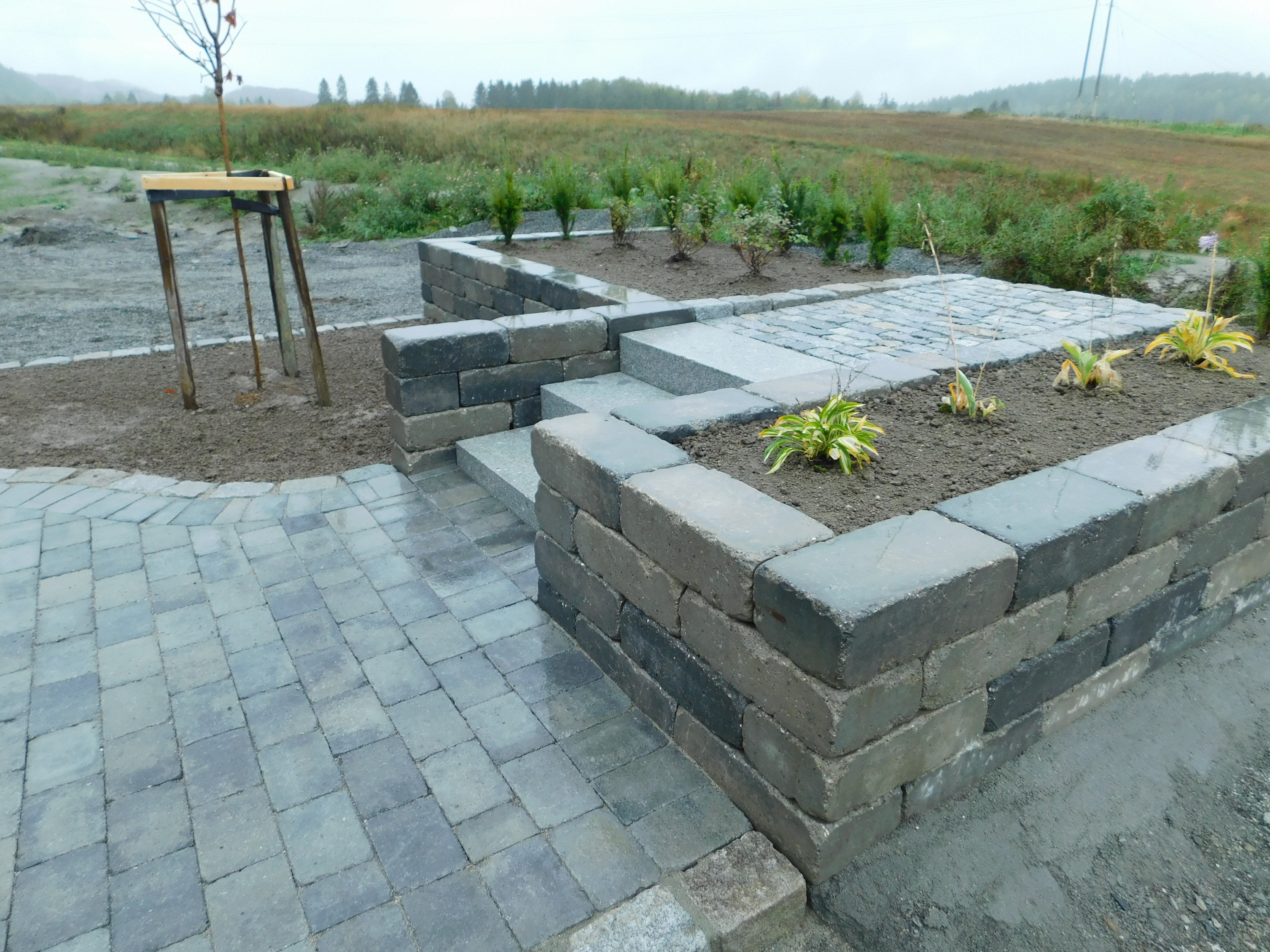 DSCN0324
