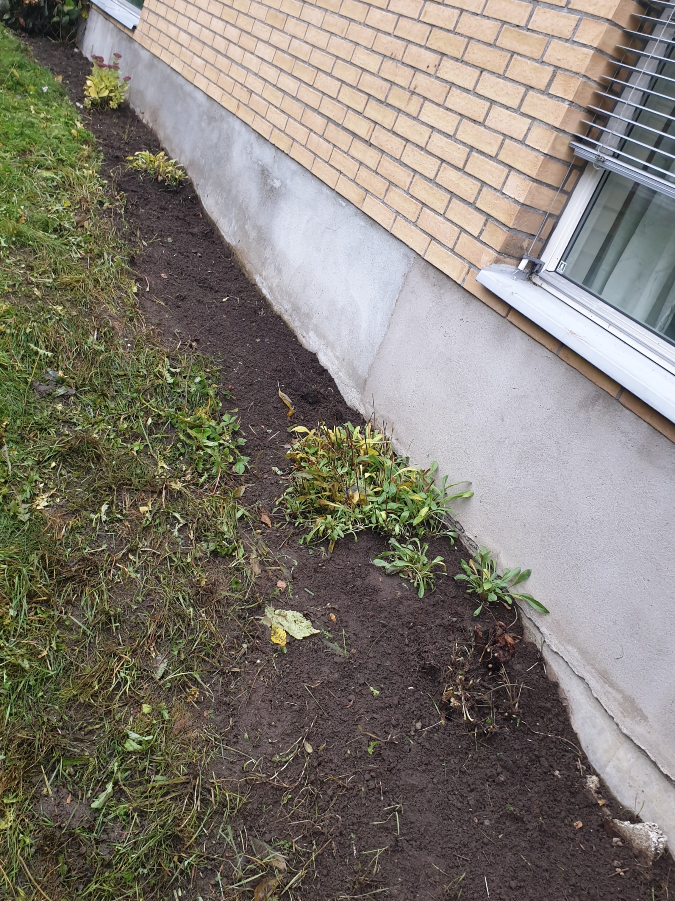 20191018 141036 resized