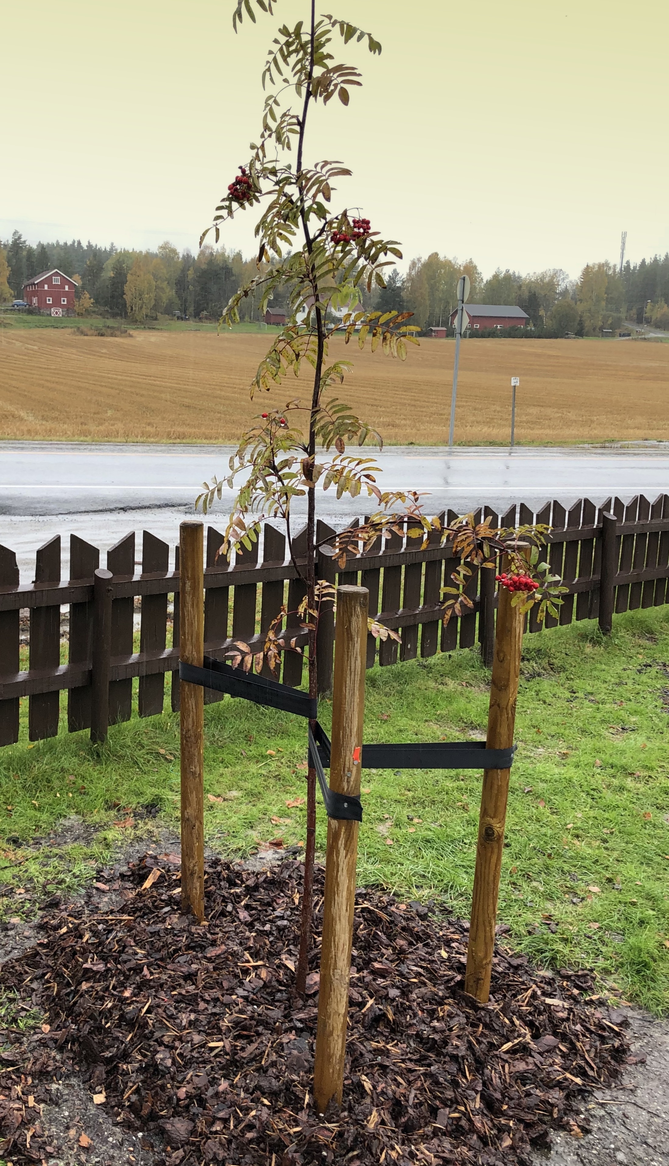 20191011 110829208 iOS