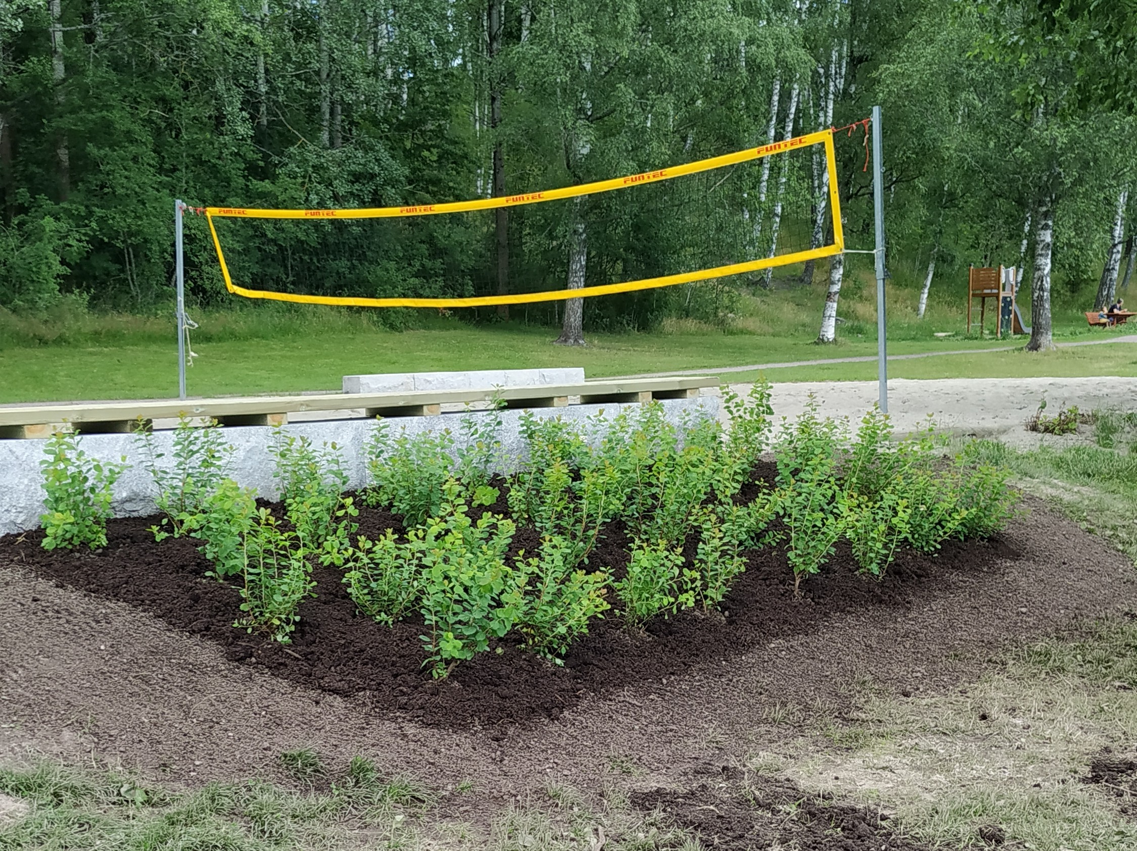 IMG 20200710 1153102