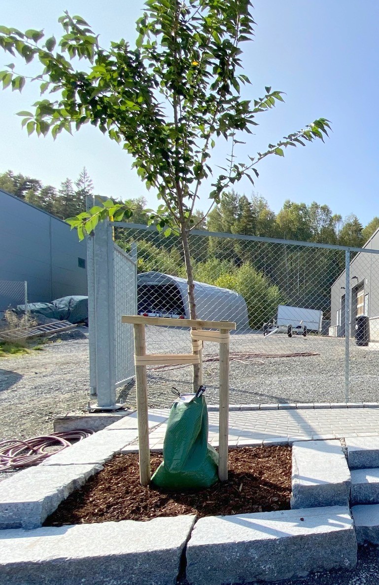 fagprve amalie 2 002