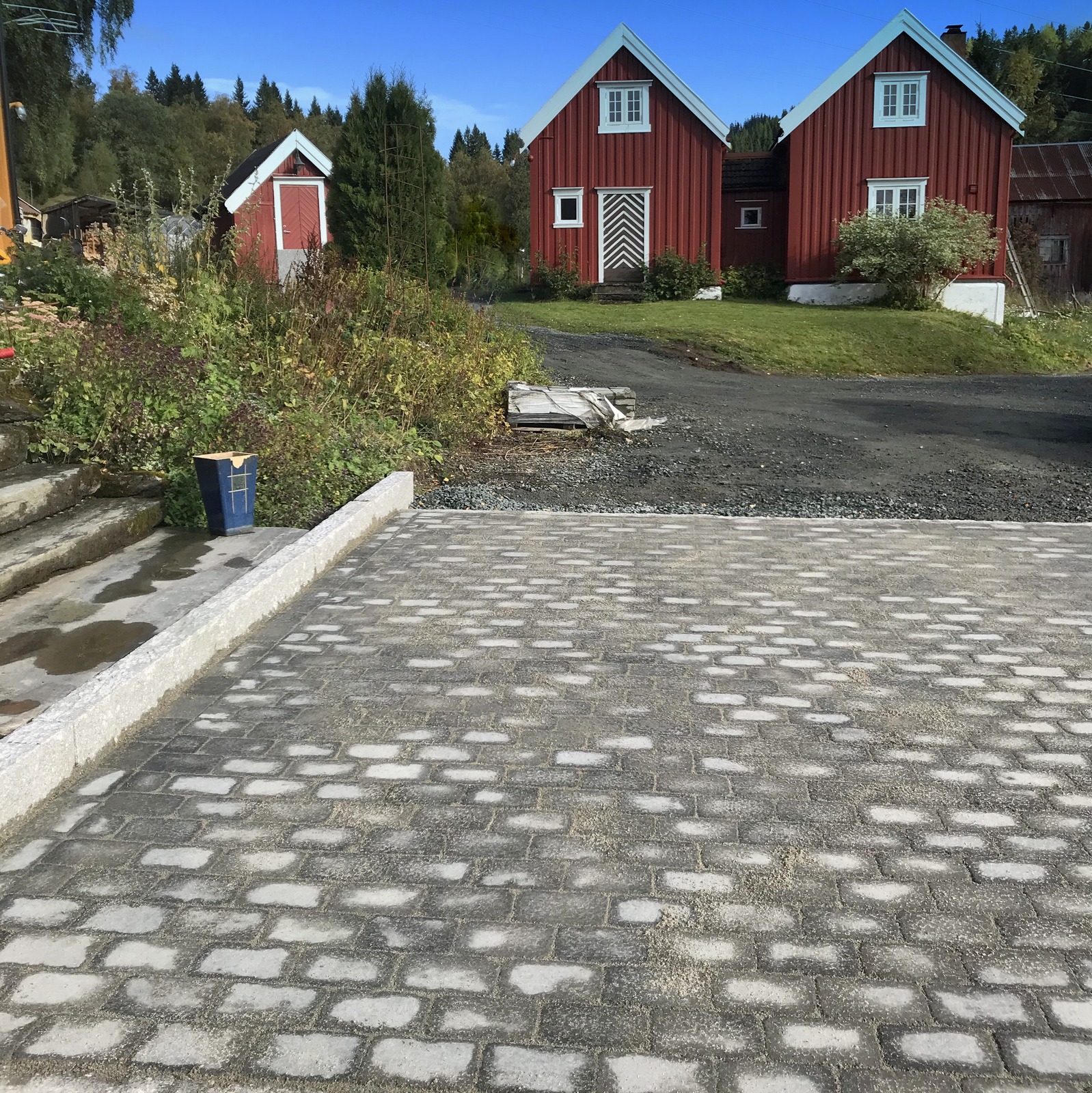 IMG 7703