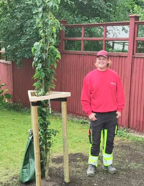 received 295210722392135