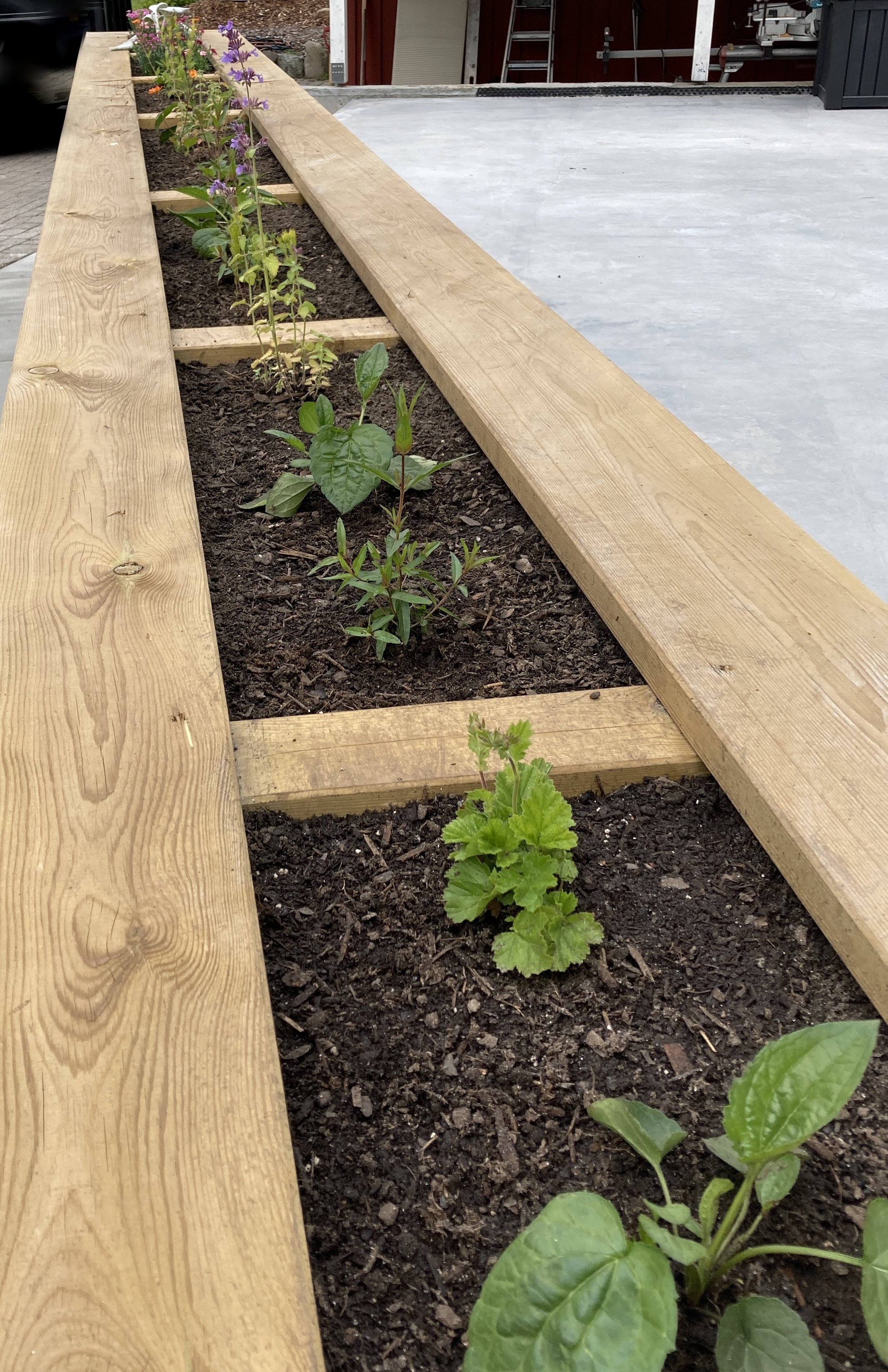 20210625 104411960 iOS