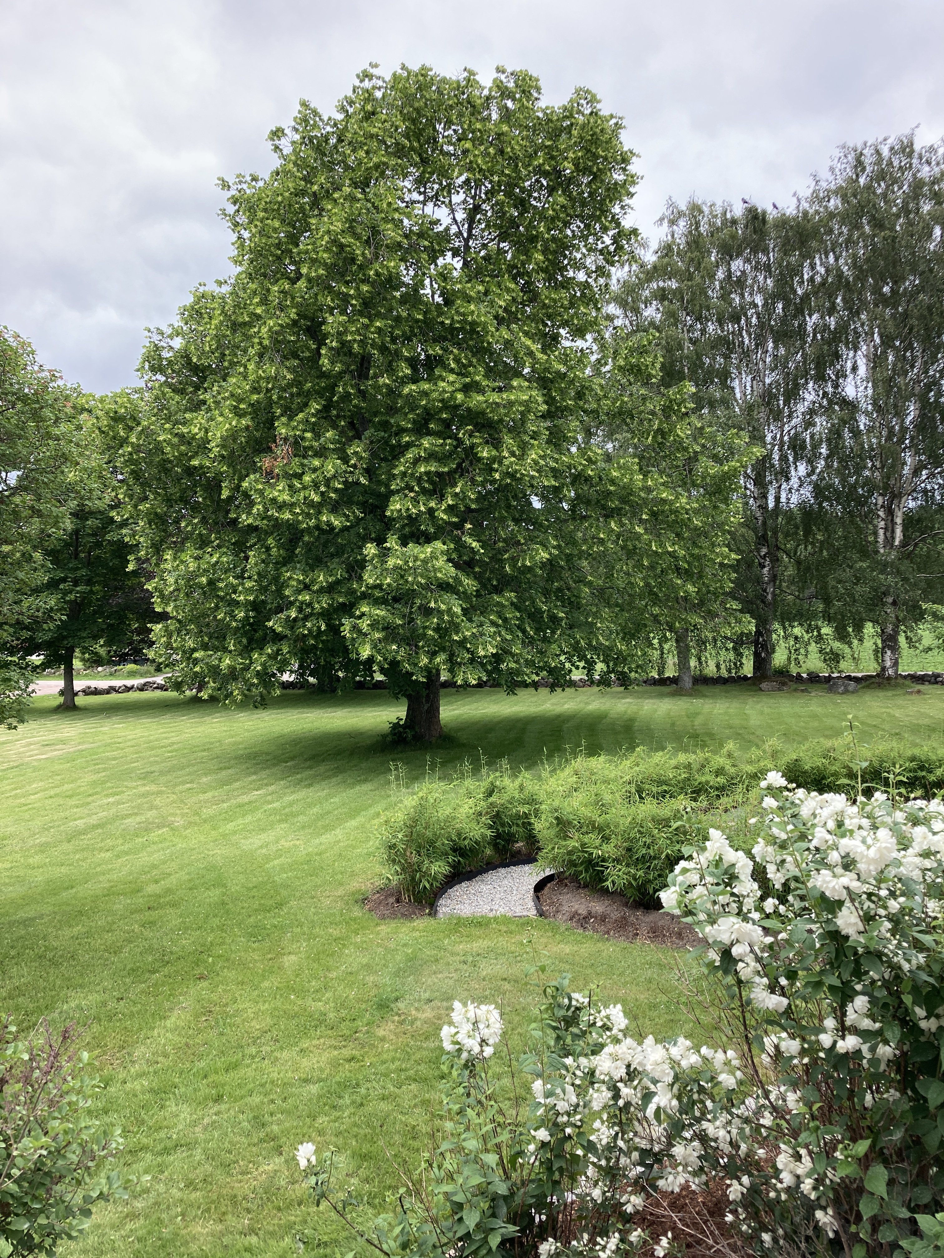 20210625 104826050 iOS