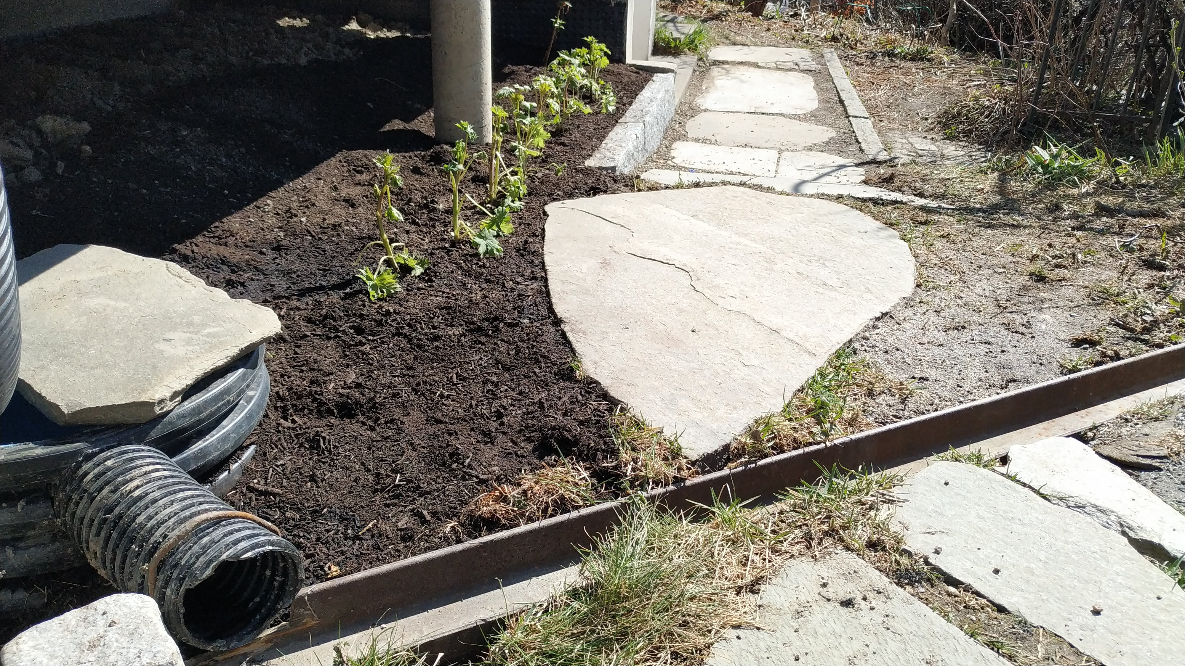 IMG 20210423 121016 001