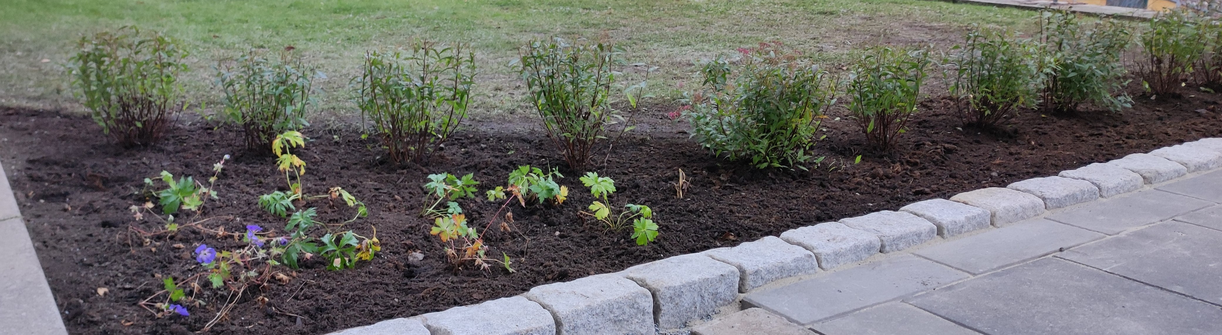 05 IMG 20221021 165417