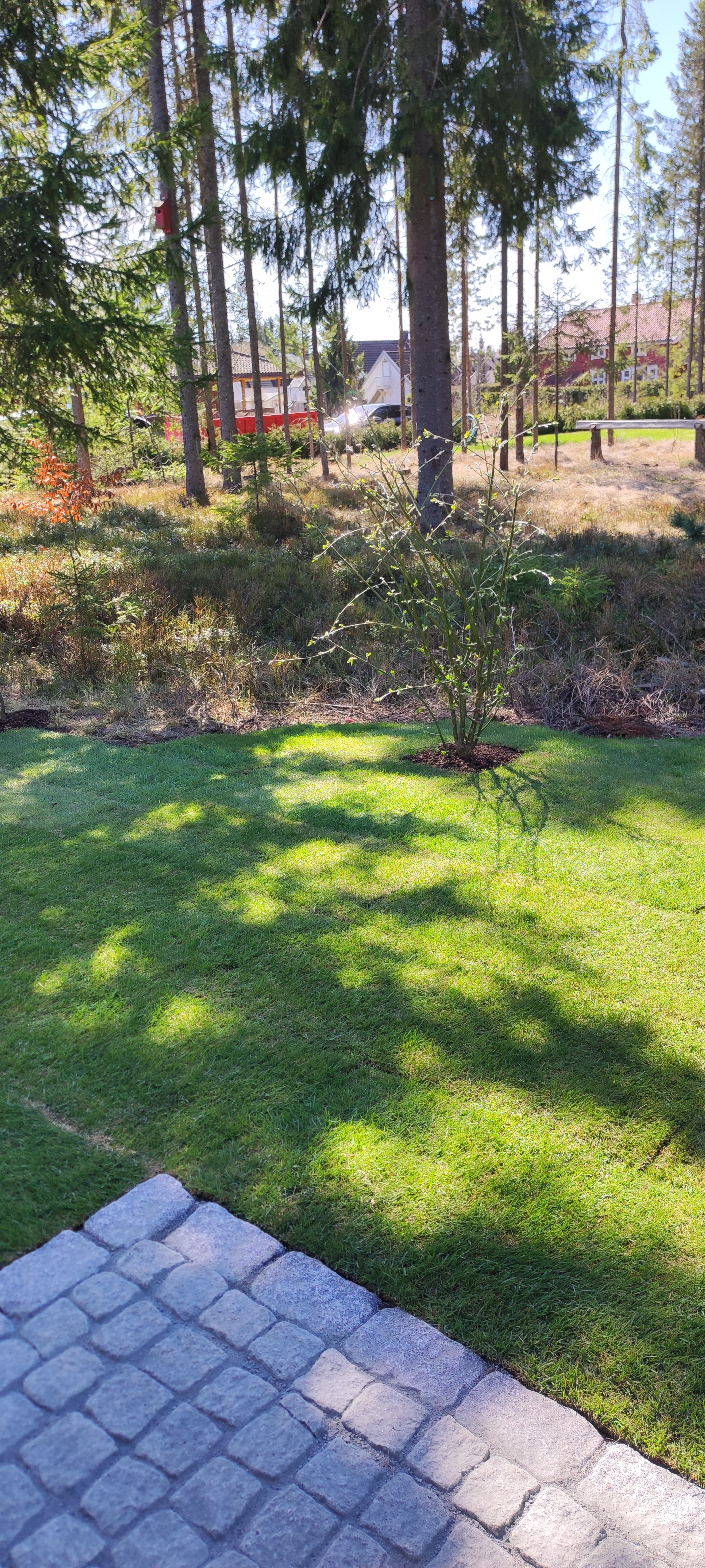 7 IMG 20220506 113730