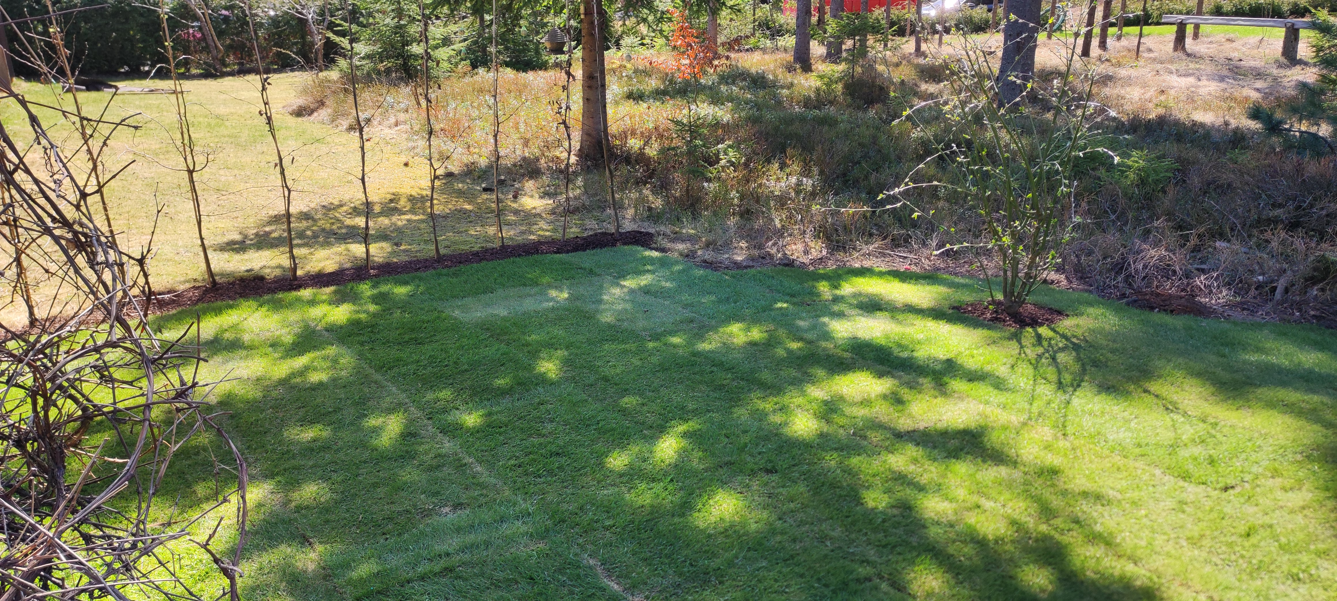 8 IMG 20220506 113734