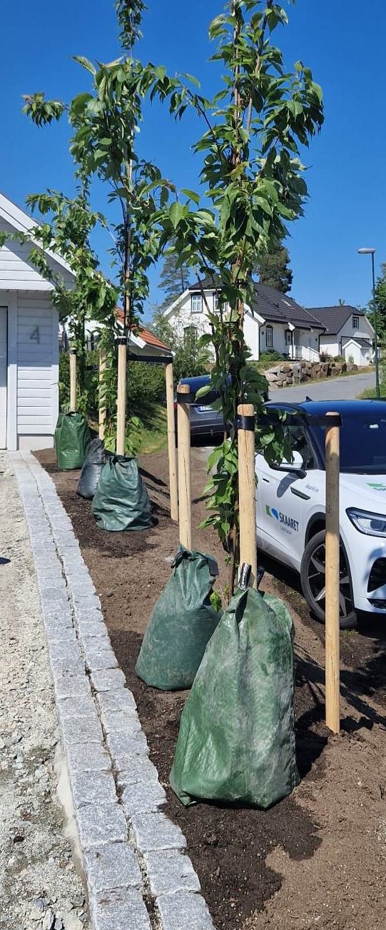 353068509 6057271221065891 6682214180266452840 n