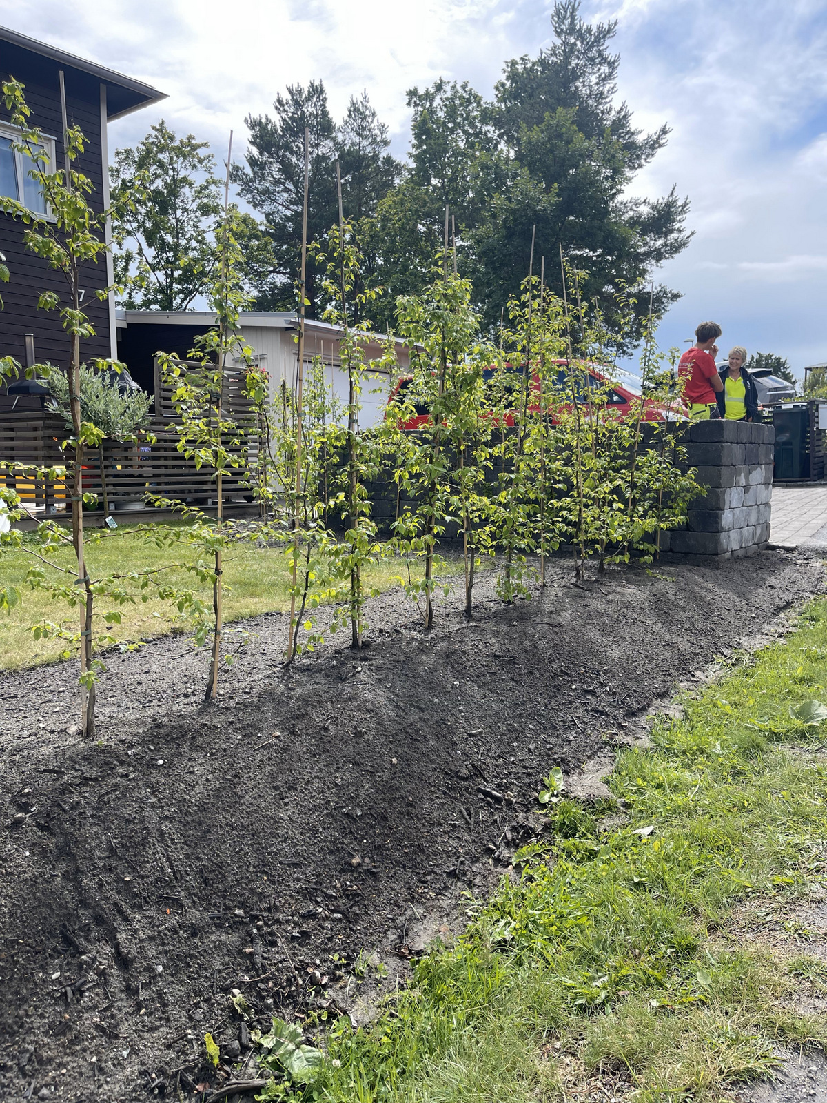 20230706 105850888 iOS