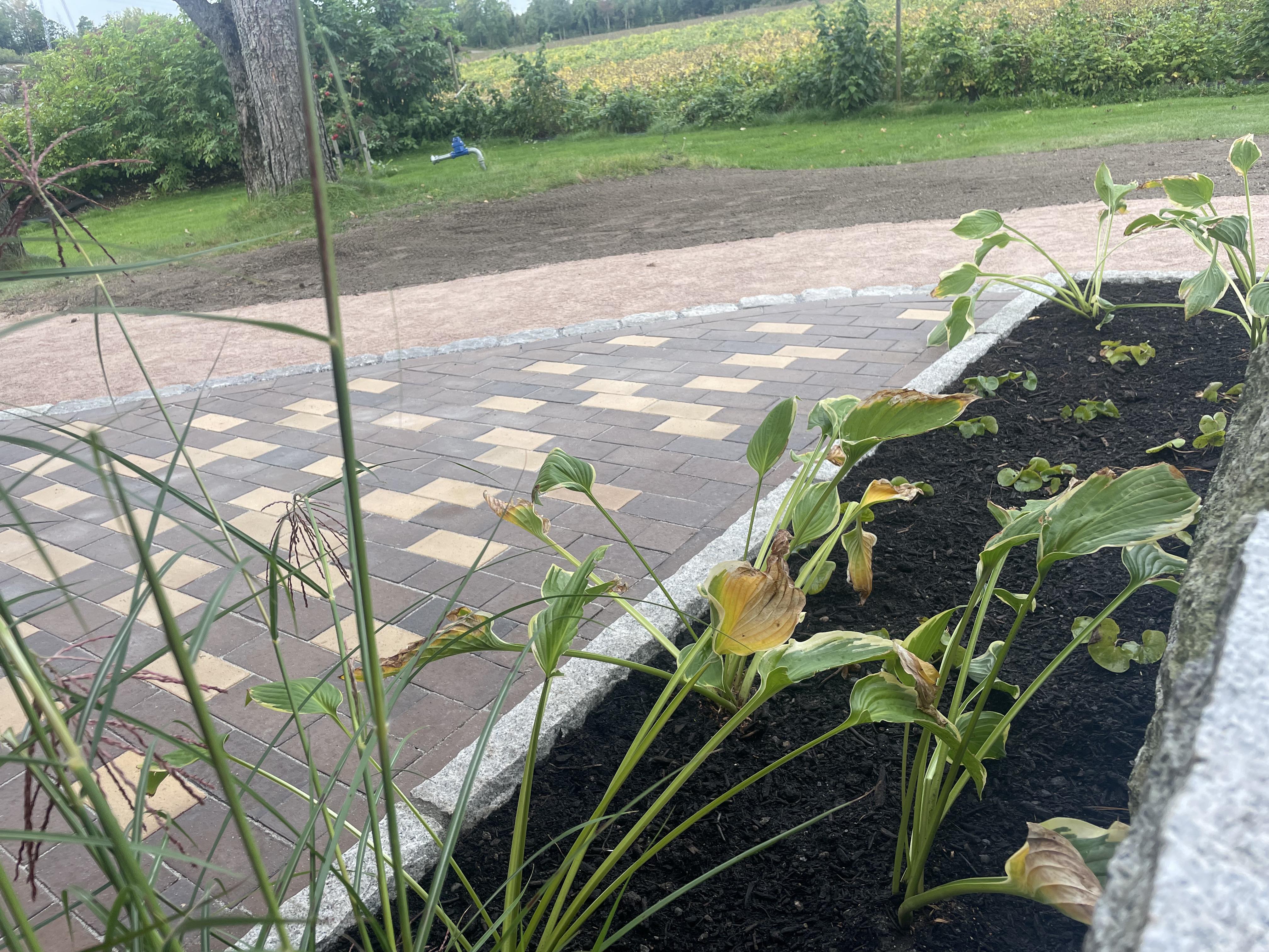 373463952 627647229355199 5978997163388661792 n