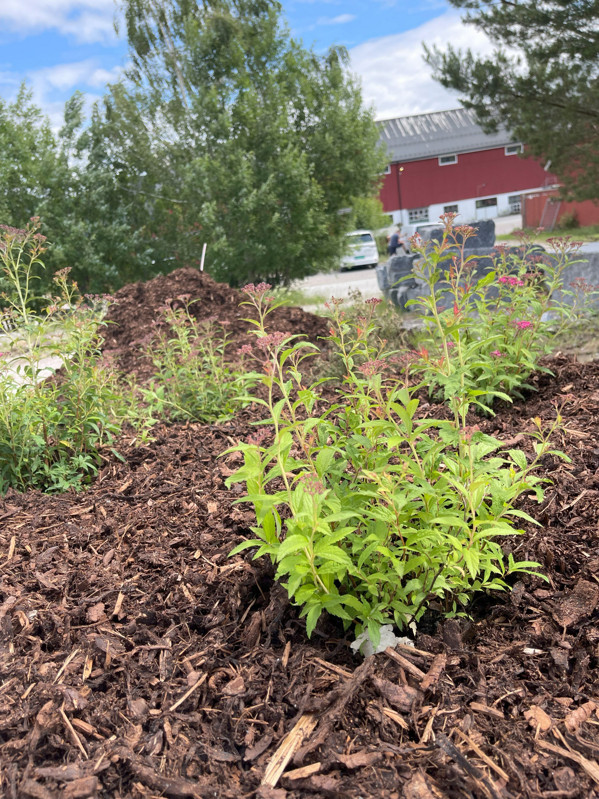 20230630 110558880 iOS