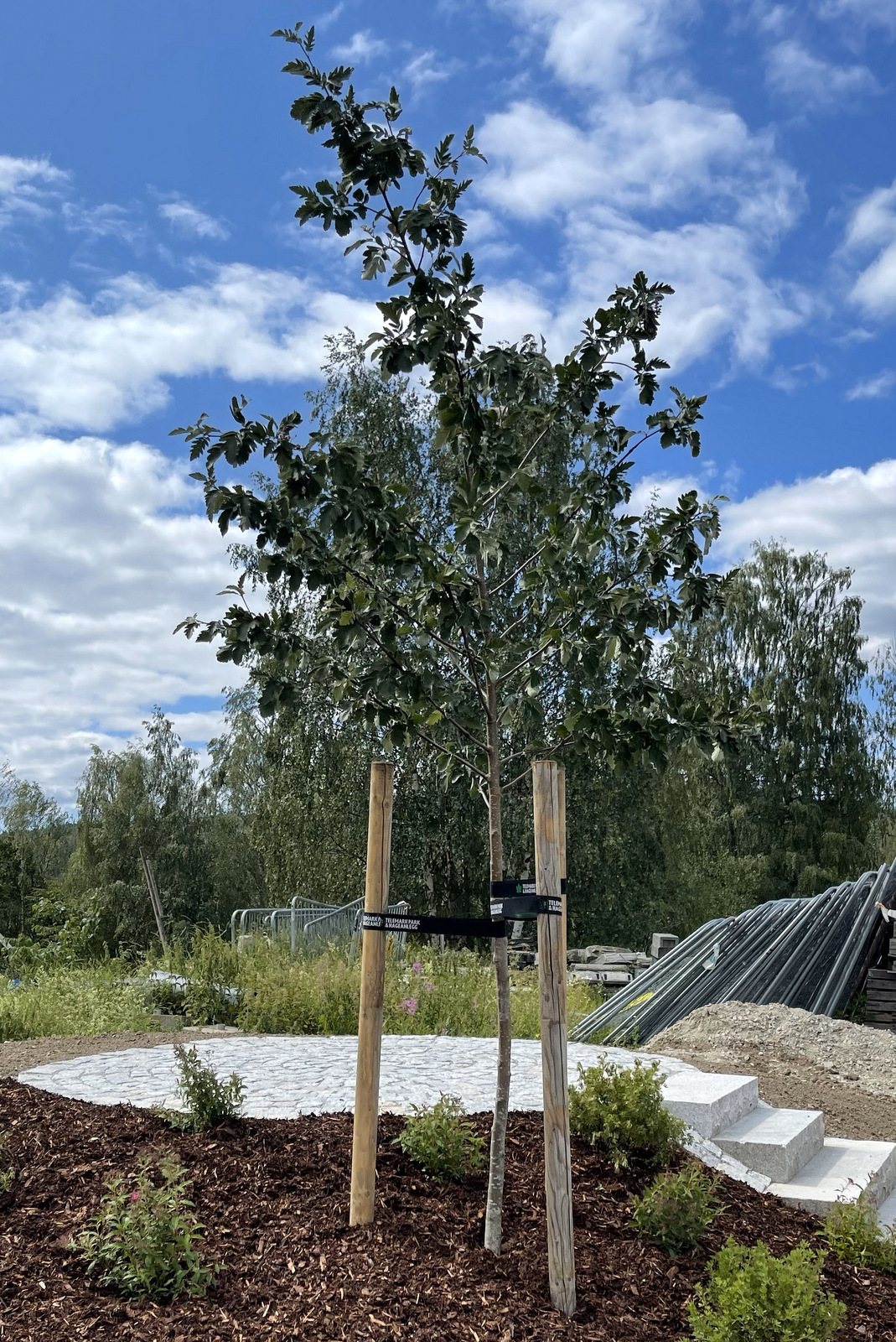 20230630 110648205 iOS